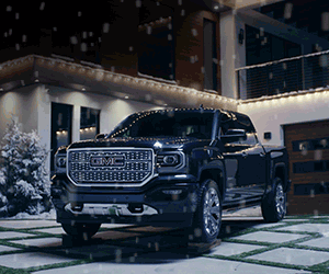 GMC_Banner_300x250.gif
